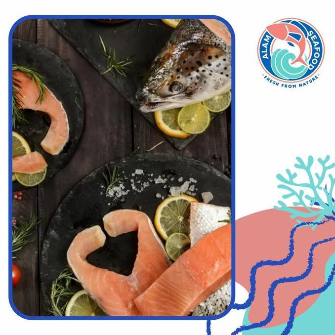 Cibo- Salmon Fillet Belly/Salmon Fillet/Salmon Portion/Frozen