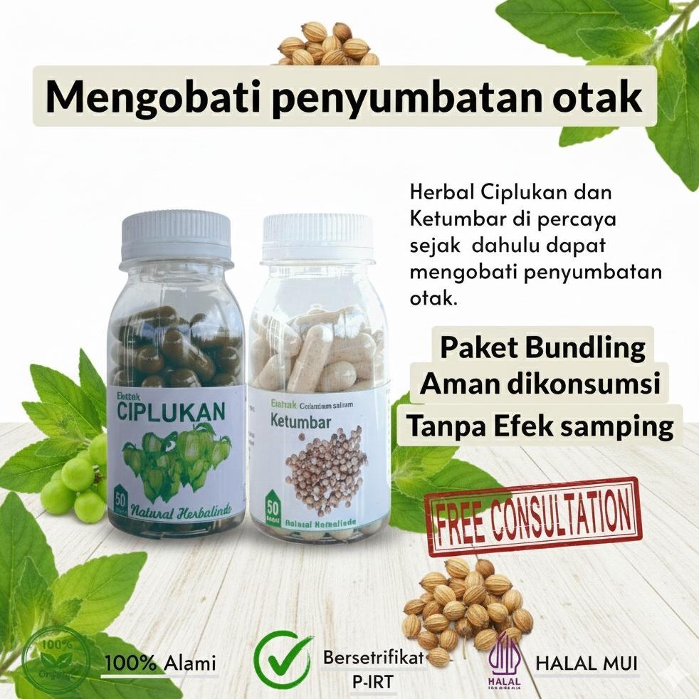 Obat Penymbatan Konorer Herbal Ketumbar Stroke Suplemen Saraf Otak Ciplukan Kapsul