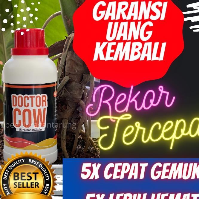 Obat Penambah Nafsu Makan Sapi Potong, Vitamin Penambah Nafsu Makan Sapi, Suplemen Penambah Nafsu Ma