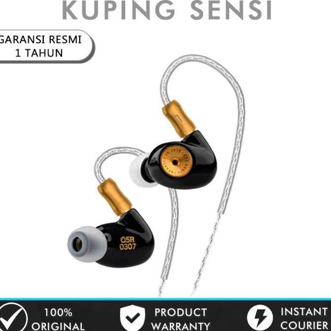 EPZ Q5 Earphone HIFI Ceramic Carbon Nano Moving Coil In Ear Monitor