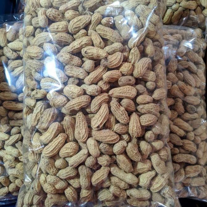 Kacang Kulit Sangrai 3Kg (1Ball)Kacang Bakar Renyah/Agen Snack Cemilan