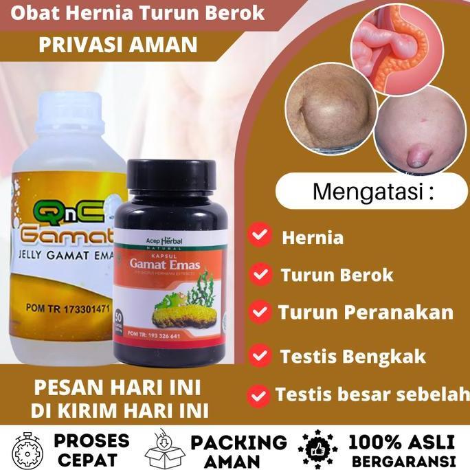 Youyou- Qnc Jelly Gamat Emas Untuk Hernia Turun Berok Pria, Turun Berok Desa Alami Sudah Bpom Isi 30