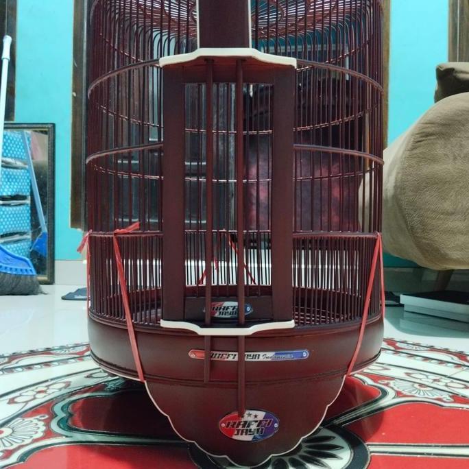 sangkar/kandang Anis/wambi aklirik