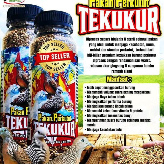 Pakan perkutut Tekukur penggacor burung