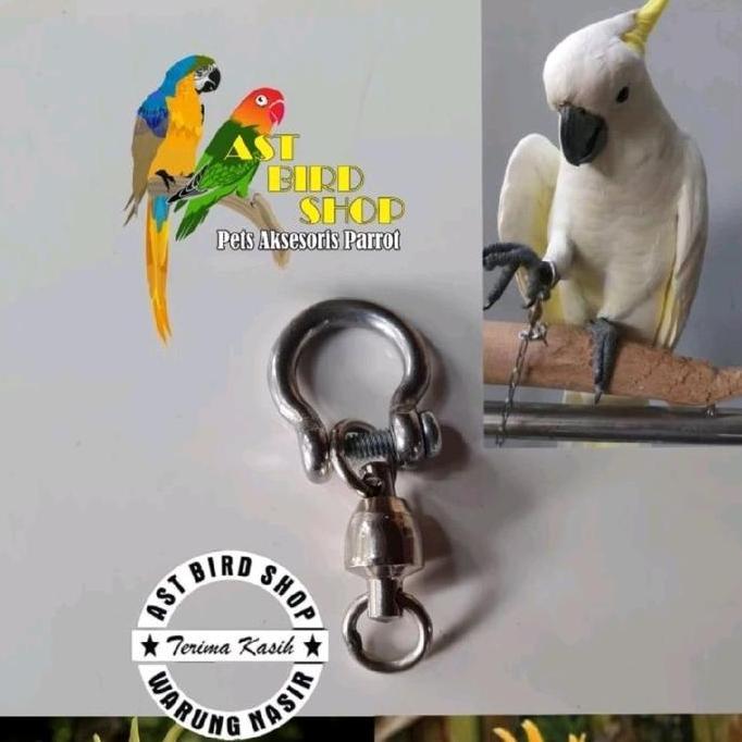 Ring omega kaki burung kaka tua + kili kili
