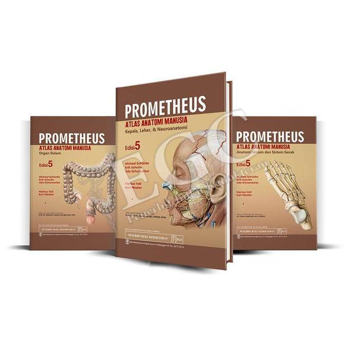 ovandakiseller - egc prometheus atlas anatomi manusia edisi 5 (set 3 buku)