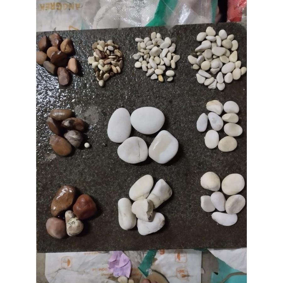 Big- Batu Putih Sebesar Koin 500An Karungan +- 11 Kilo