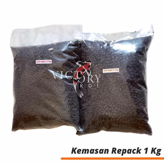 Pakan Ikan STP KAE Tinggi Protein pelet apung