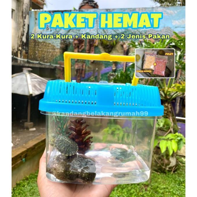 Paket Kura-Kura Kandang Kura-Kura Aquarium Kura-Kura Paket Terarium Kura-Kura Murah Pakan Kura-Kura 