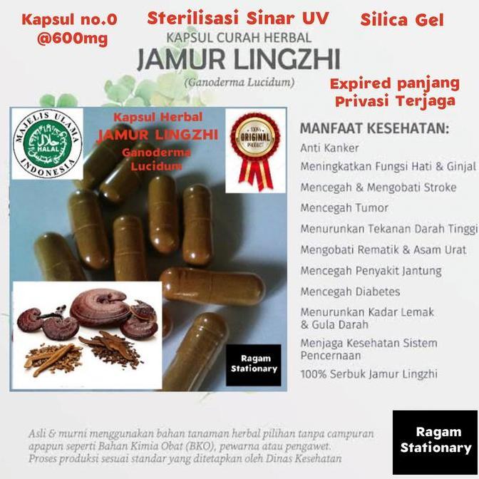 Sht- Kapsul Bubuk Jamur Lingzhi Herbal Jamu Obat Curah 100 Butir