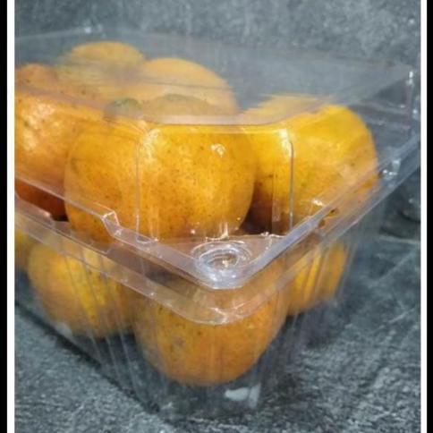 Tmpt- Kotak Mika Buah 1 Kg Mb800 25 Pc Anggur Jeruk Jambu