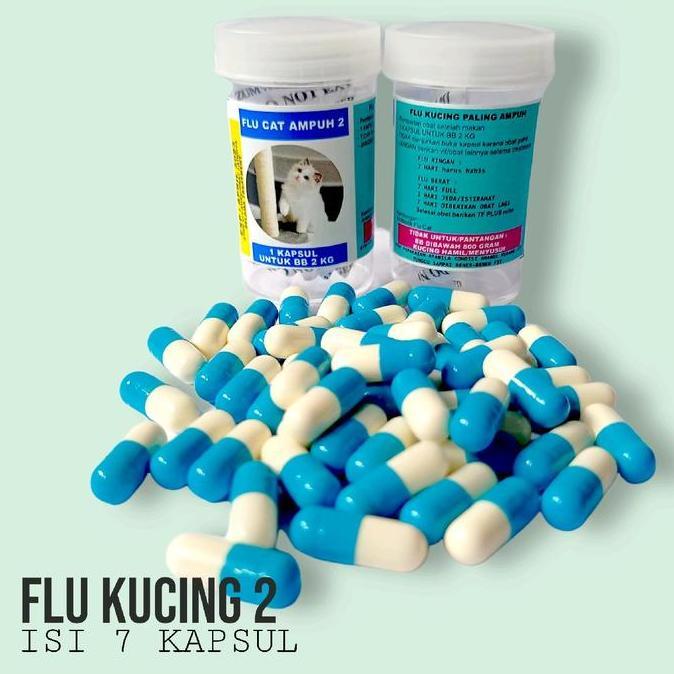Flu Kucing Flu Care Vitamin Obat Flu Cat Virus Kucing Best Quality