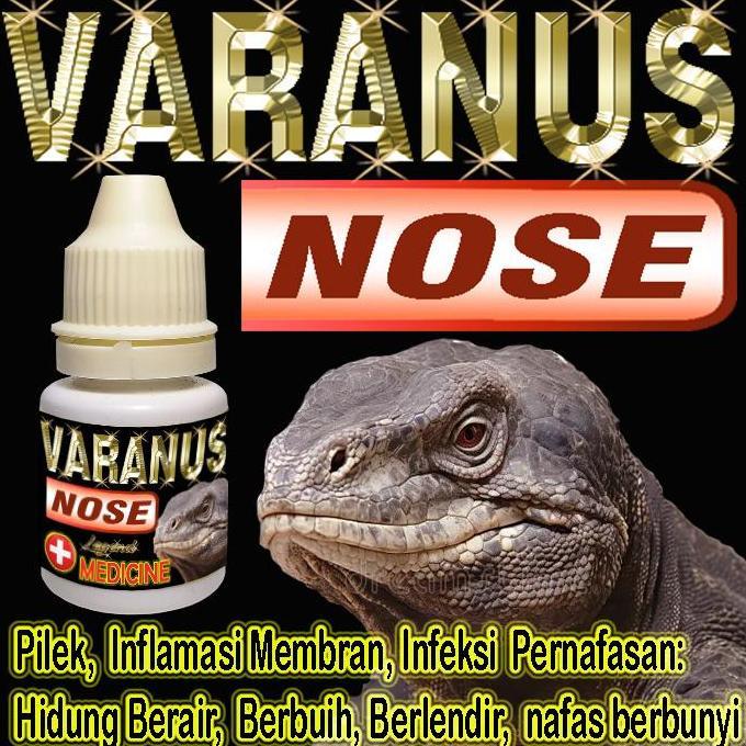 VARANUS NOSE OBAT PILEK REPTILE KADAL MENYEMBUHKAN HIDUNG VARANNUS BERBUIH BERLENDIR BERAIR MENGOBAT