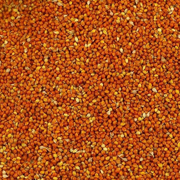 Biji Jawawut / Otek / Jewawut 1 Kg