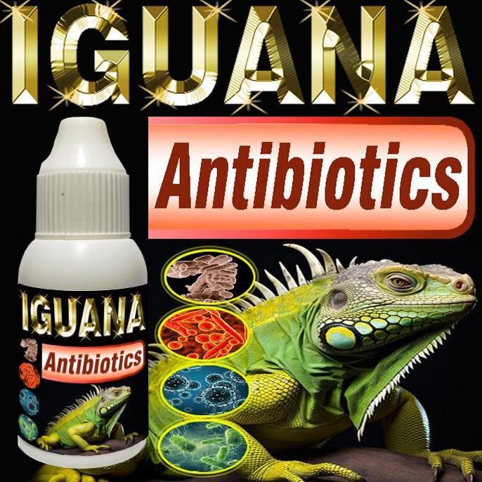 IGUANA ANTIBIOTICS MULTIVITAMIN REPTILE SUPLEMEN OBAT DIARE DAN PENYAKIT PERNAPASAN PNEUMONIA PILEK 