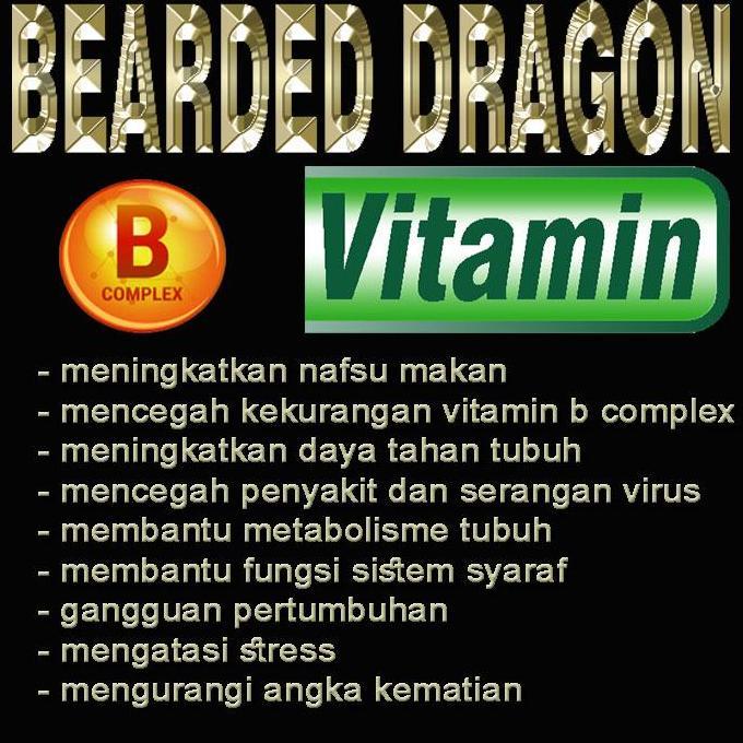 BEARDED DRAGON VITAMIN KAPSUL OBAT BD LIZARD KADAL BERJENGGOT NAGA BERJANGGUT DUNNER KASIK CS POGONA