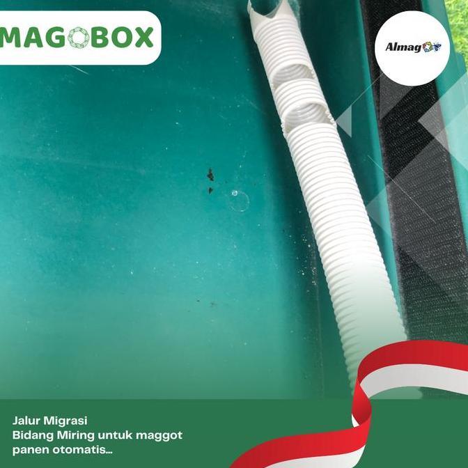 Pat- New- Magobox Bundling Magbox Lite & Kandang Bsf Rangka Paket Lengkap Budidaya Maggot Blacsodier