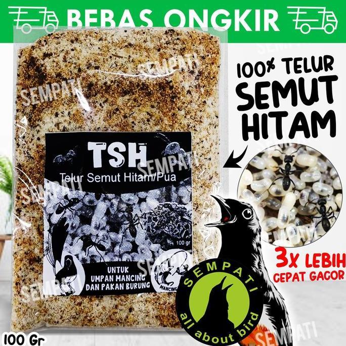 Sempati Tsh Telur Semut Hitam Pakan Burung Serbuk Telur Pua Poa Pengganti Kroto Pakan Makanan Burung
