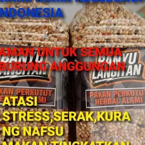 Banyu Langitan Banyu Langit Pakan Burung Perkutut Herbal Alami Membuat