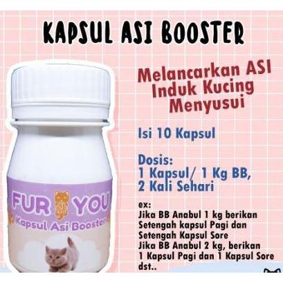 Asi Booster Kucing Penambah Asi Kucing Susu Kucing Vitamin Melancarkan Asi Mengentalkan Asi Kucing B