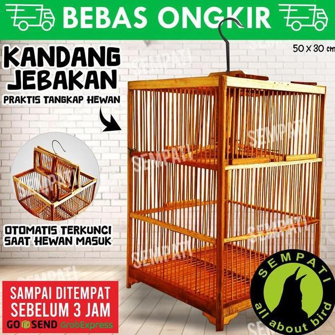 Sangkar Dua Pintu Atas Kandang Burung Kecil Bahan Kayu Bambu Halus Kuat Burung Prenjak Jalak Trucuk 
