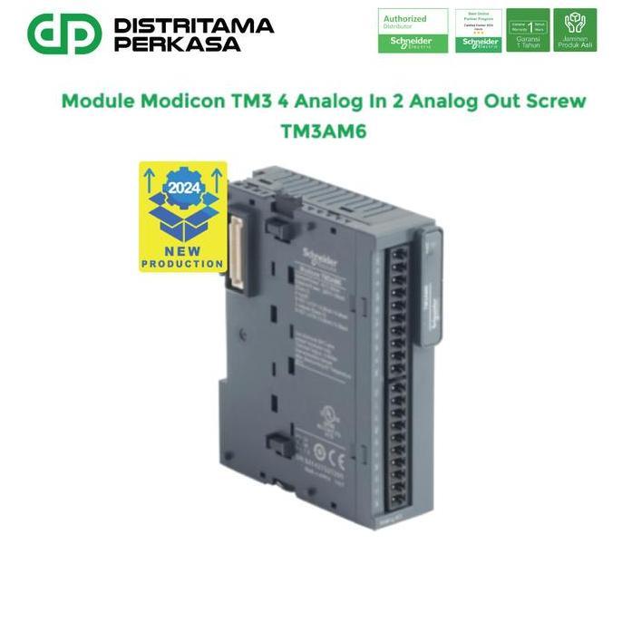 Schneider Module Modicon TM3 4 Analog In 2 Analog Out Screw - TM3AM6 (TERBAIK) (TERBARU) (TERMURAH)