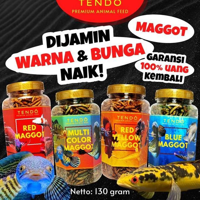 Maggot BSF Maggot Kering Pakan Makanan Ikan Koi Predator Tendo