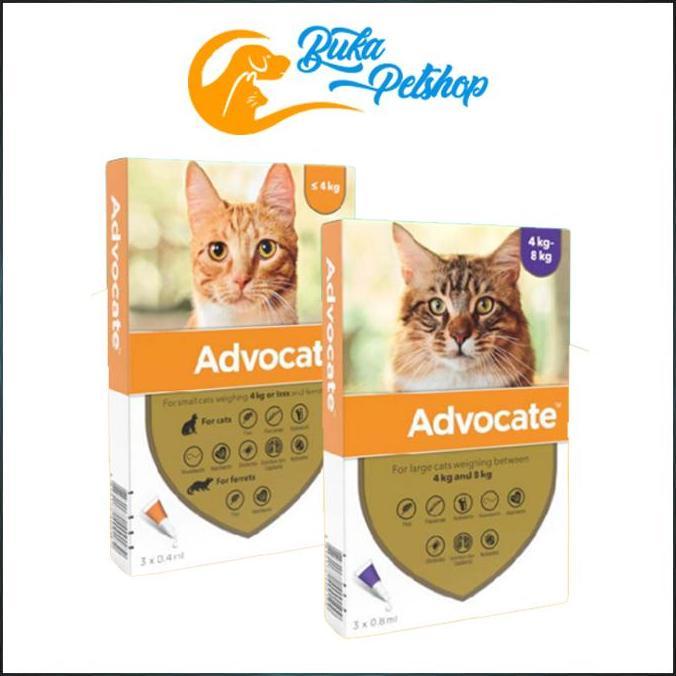 Advocate Cat Obat Kutu Kucing Advocate Elanco