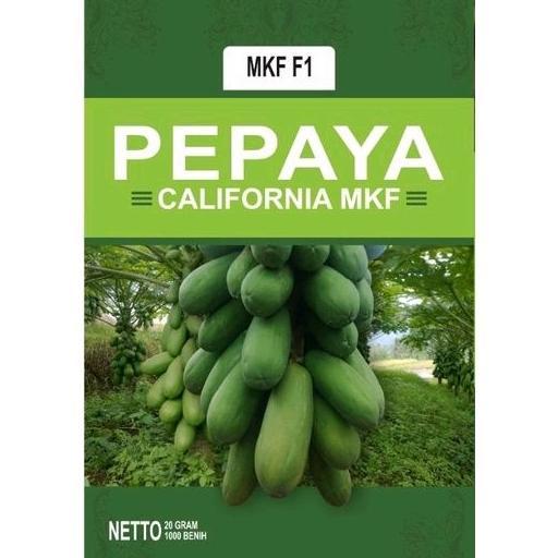 NEW BIBIT  PEPAYA CALIFORNIA MKF.F1.20 Gram(Gratis 1pcs setiap pembelian 5pcs) [terbaik][terlaris]