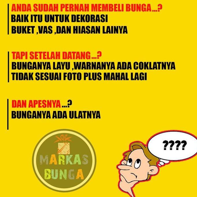 Arre- Bunga Kerah Macan Mandi / Paket Mandi
