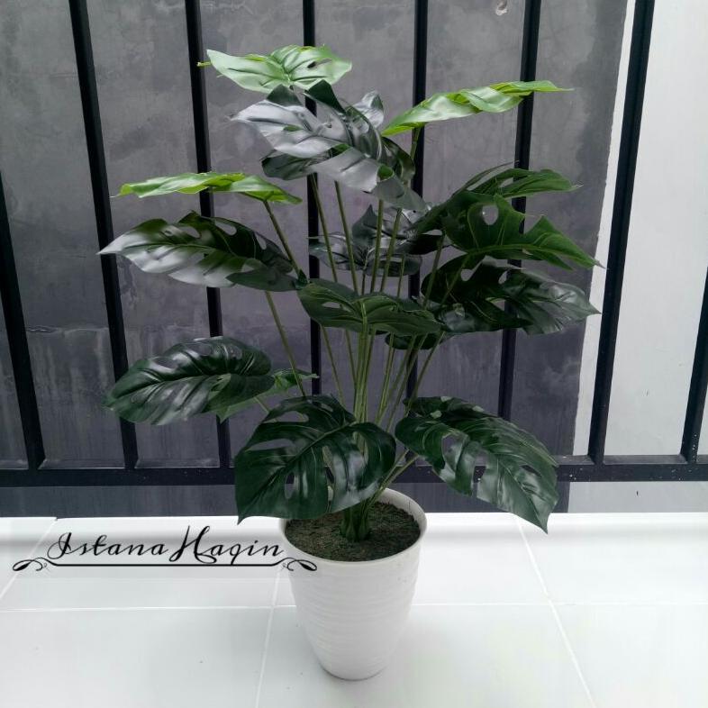Monstera Artificial Monstera Hijau Monstera Varigata Plus Pot