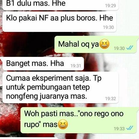 Pupuk Nongfeng Kelengkeng