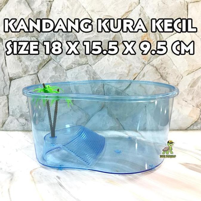 Kickbit- Kandang Kura Kecil Kura Air Res Brazil Picta Gecko Simple