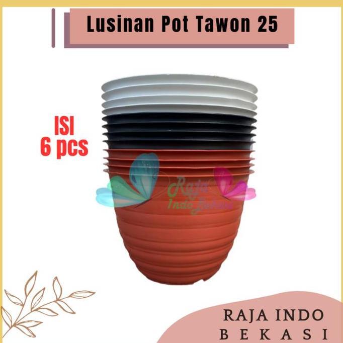 RAJA INDO GROSIR 1/2 Lusin Pot Tawon 25 / Pot Tanaman / Pot Bunga