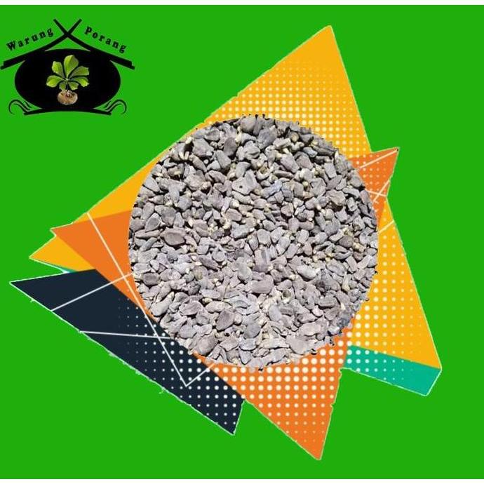 Bibit Biji Bunga Spora Porang 1Kg Edisi Terbatas