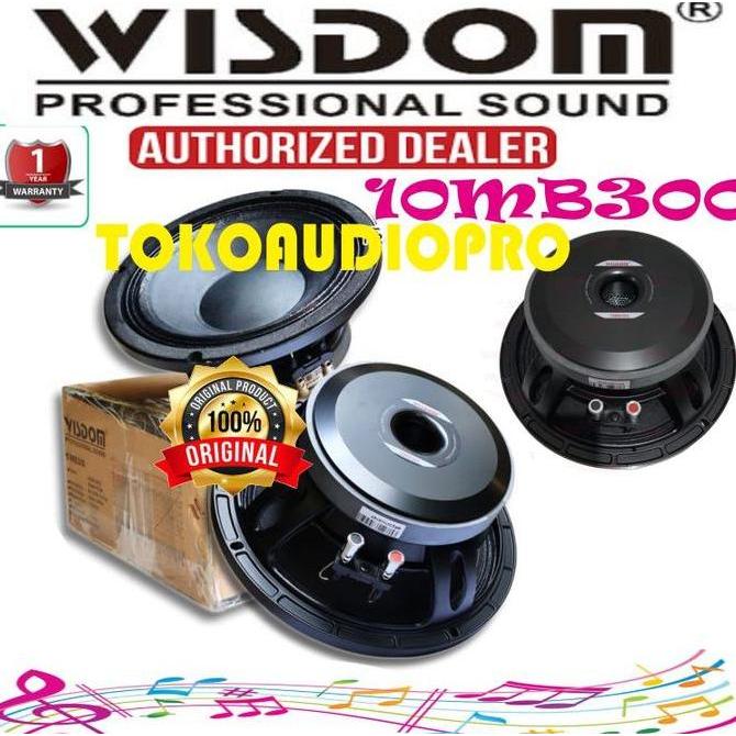 Speaker Wisdom 10MB300 Component Speaker 10 Inch Original Wisdom