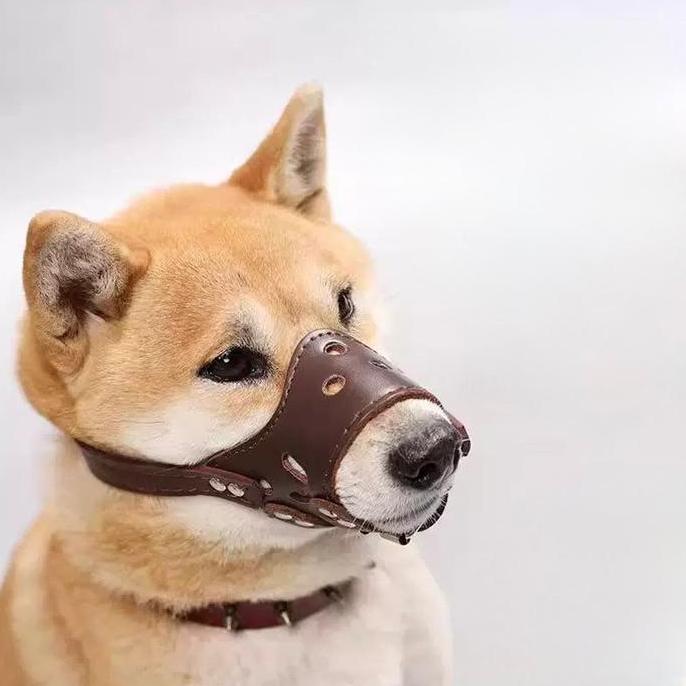 LOWARY Dog Muzzle Kulit Premium Penutup Mulut Anjing Anti Gigit & Menggonggong