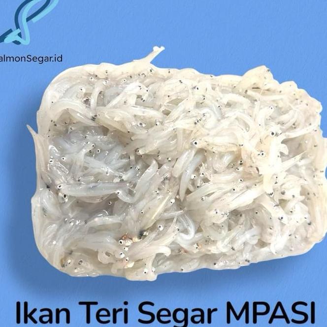 Ikan Teri Nasi Basah Mpasi Teri Segar Teri Basah