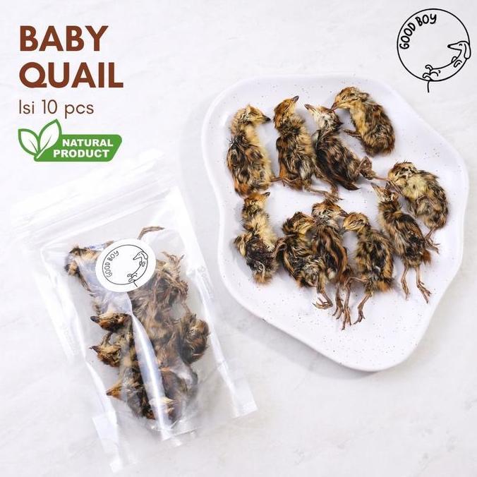 Good Boy Dehydrated Baby Quail Burung Puyuh Cemilan Jerky Anjing Natural Organic