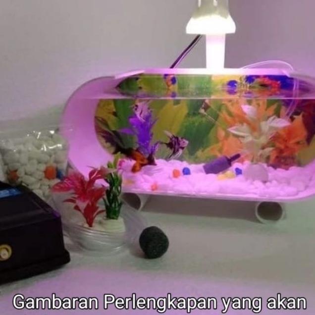 1 Set Aquarium Akrilik Cupang Mini Plus Mesin Aerator Air Mancur Dan Lampu Penerangan