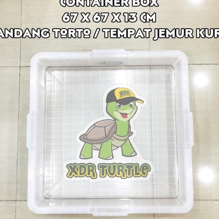Kandang Kura Darat Kura Air 67X67X13 Kontainer Serbaguna Sulcata Pardalis Res Albino Kura Darat Xdr