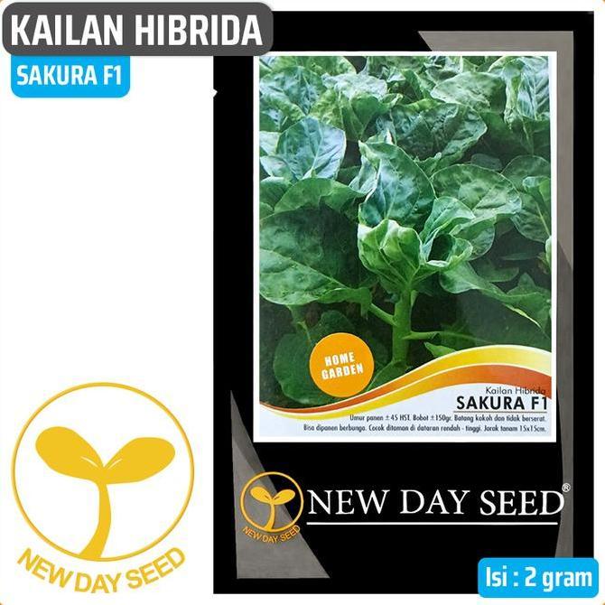 HERBONE Benih Kailan SAKURA F1, 2 gr | New Day Seed