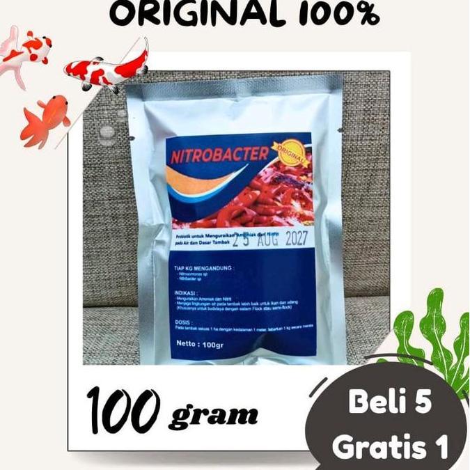 PROBIOTIK BAKTERI STARTER NITROBACTER NITROSOMONAS KOLAM KOI