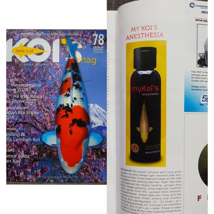 MY KOI'S ANESTHESI/BIUS IKAN KOI ARWANA 100 ML