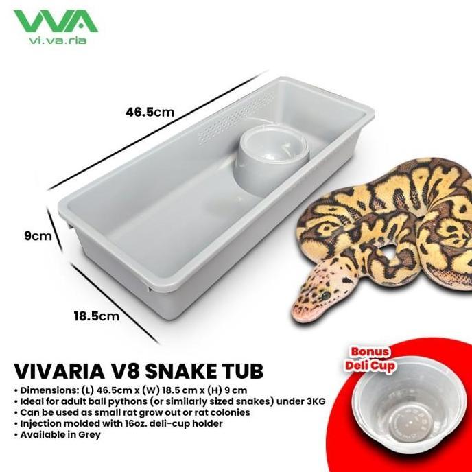 Vivaria V8 Snake Tub Kotak Ball Python BP Ular