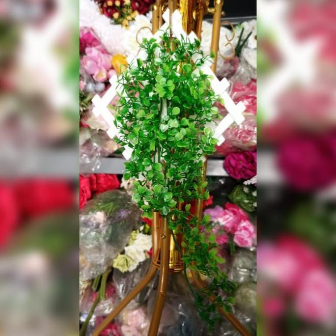 Decorao - Rambat Oxselia Bunga Hias Rambat Dinding/Tanaman Hias/Bunga Hias Dinding Plastik