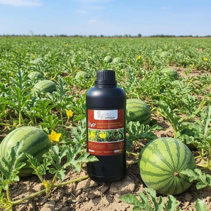 Parque - Tyo3 Serum Polinasi Semangka 500 Ml Tyo Cairan Semprot Celup Perkawinan Buah Water Melon
