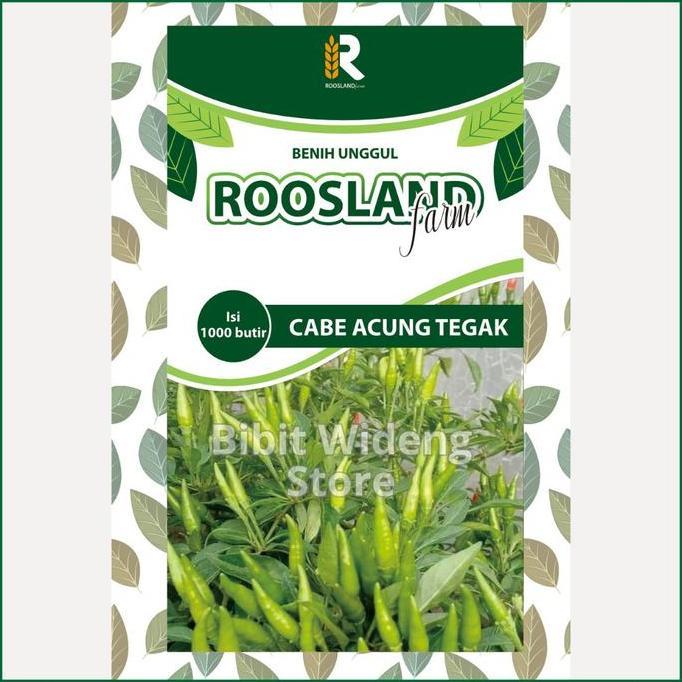 Parque - ( 1.000 Benih ) Cabe Rawit Acung Caplak | Rawit Tegak | Rawit Hijau Acung Tegak