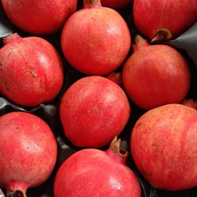 Buah delima import | delima impor pomegranate -1kg