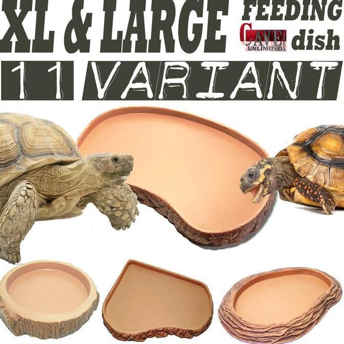 [ZGR] TEMPAT MAKAN MINUM FEEDING DISH FEEDINGDISH BESAR XL TORTOISE REPTILE KURA SULCATA SULKATA ALD
